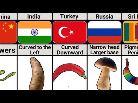 penis mushroom head|Penis: 20 Different Types, Shapes, and Things to Know